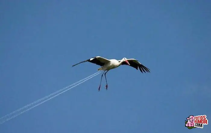 Quieres Reir Un Poco?