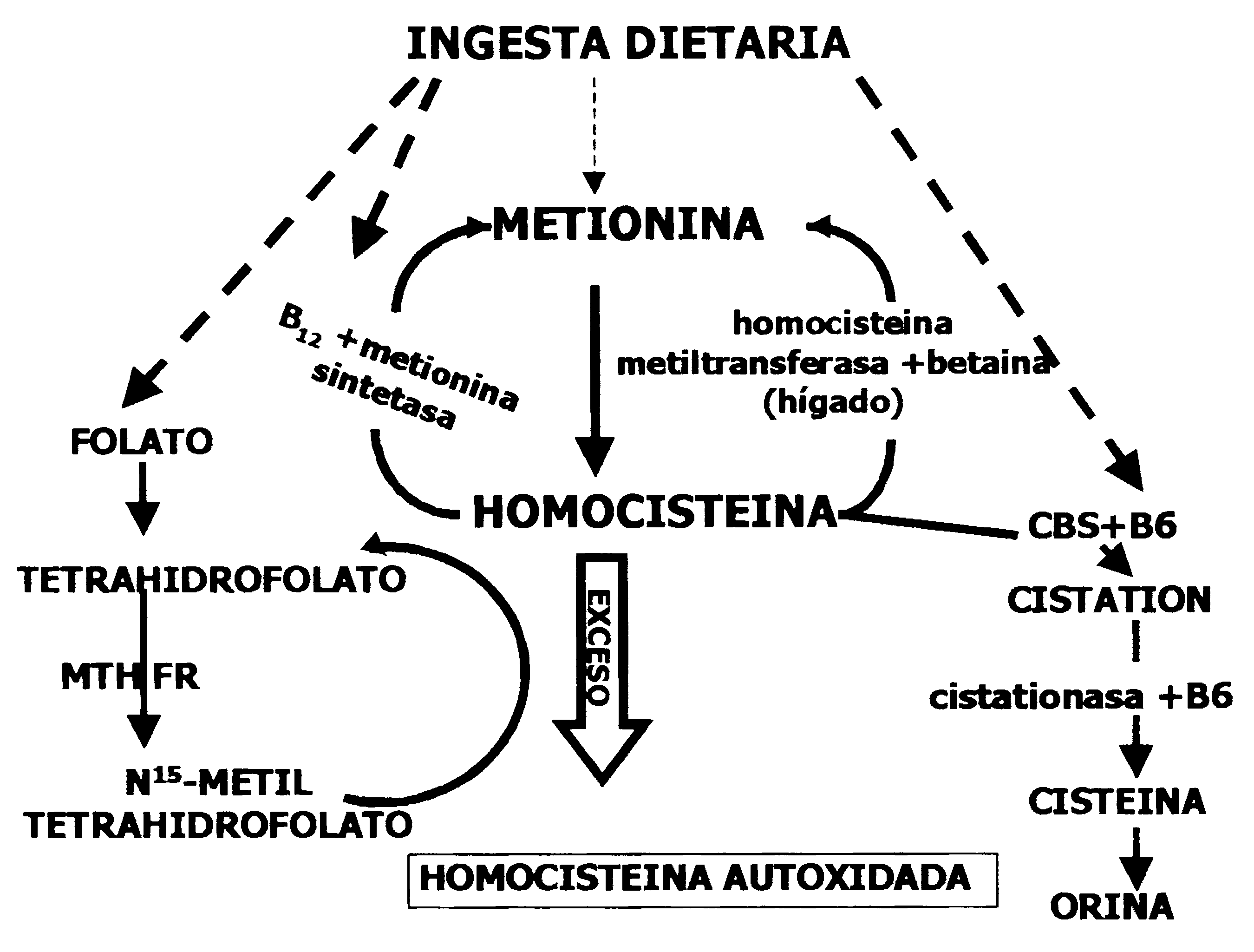 bienestar