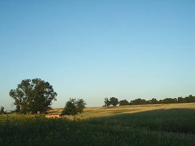 Como fue la Batalla de los Campos Catalaunicos