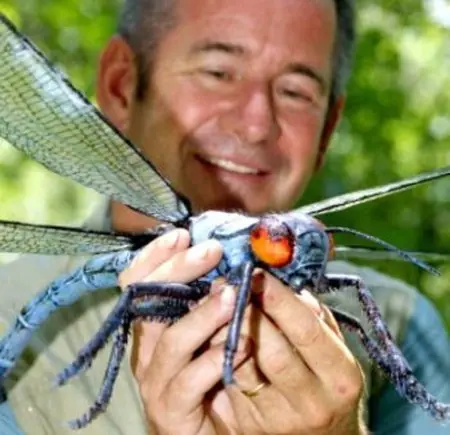Insectos prehistoricos: Arthropleura y Meganeura
