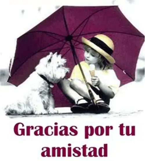 nuestras vidas.