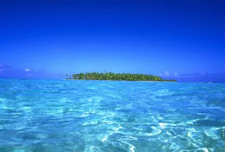 Nuevas especies Oceanicas Fotos !!