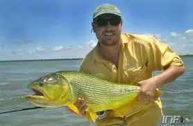 Pesca