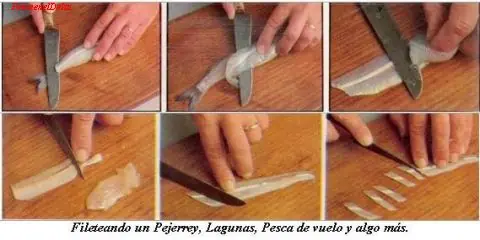 si vas a pescar tenes que saber que carnada usar
