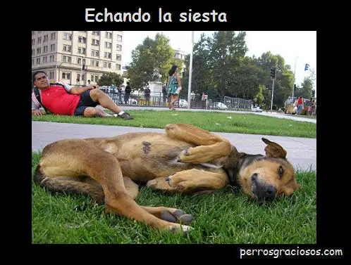 calma