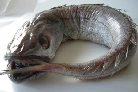 peces