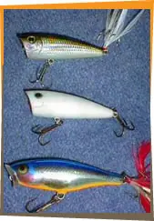 Pesca