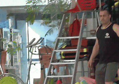 Gifs