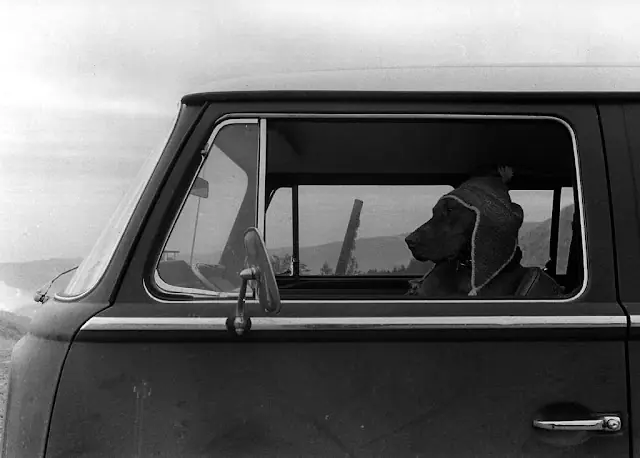 camioneta