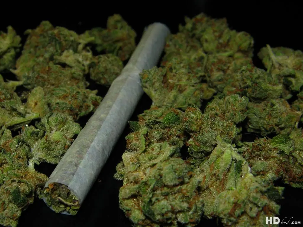 La marihuana es buena?