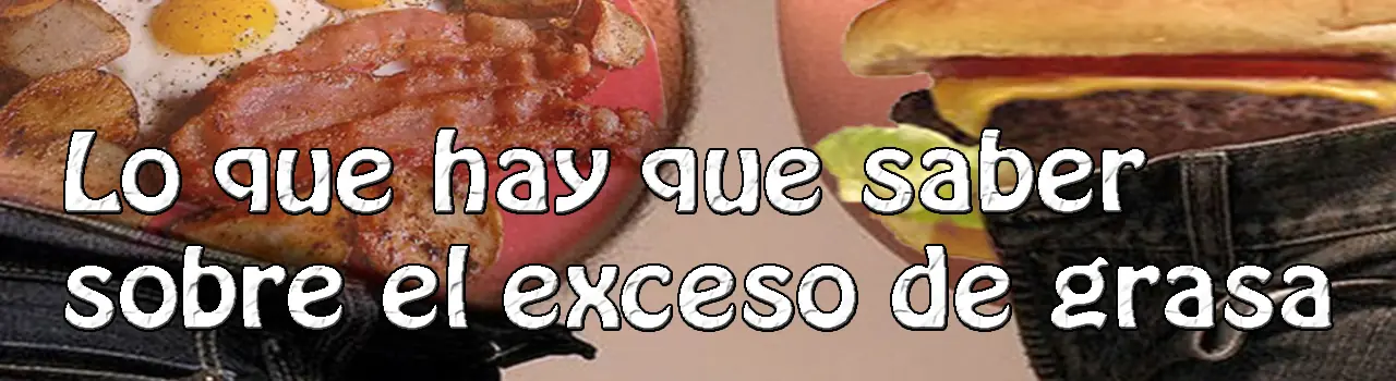 Lo que hay que saber sobre el exceso de grasa