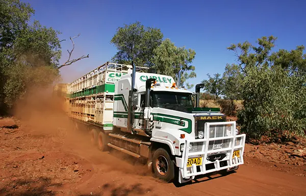 Escuadron90