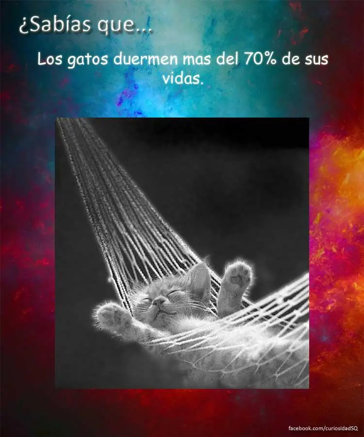 10 cosas que no sabias(datos curiosos) parte 4