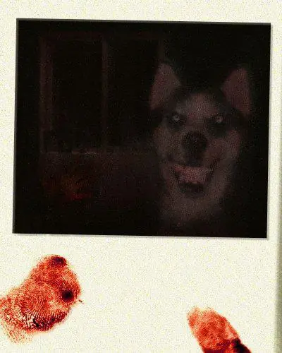 Smile Dog - creepy pasta (2 / 367)