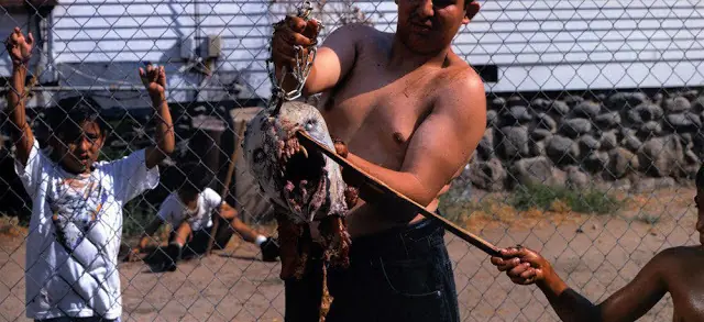 maltrato