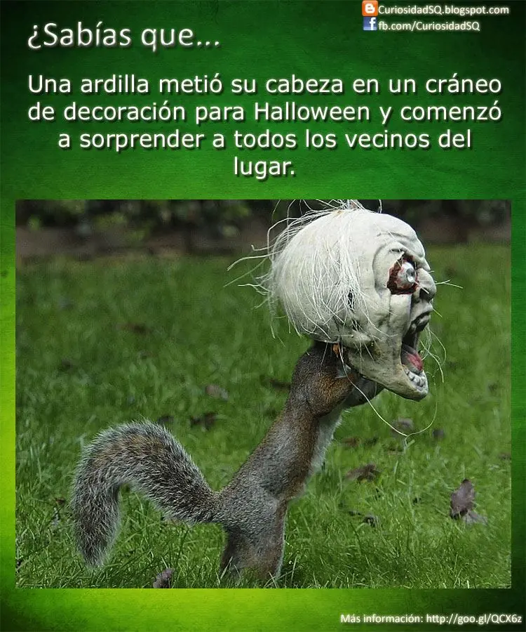 info