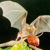 tutorial photoshop diseñar un dragon