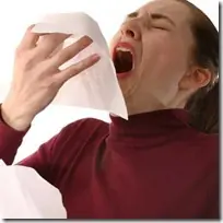 Wikipedia ! Aburrido ? Curiosidades !