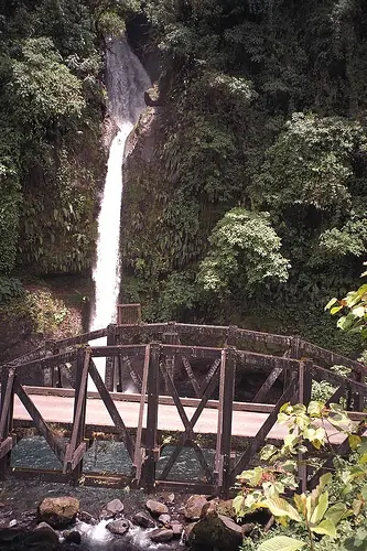 bellezas