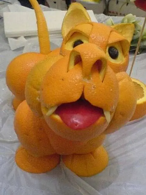 fotos