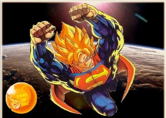 Mi Resena Objetiva De Dragon Bal