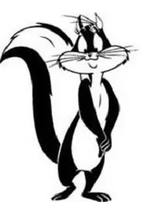 luny toons