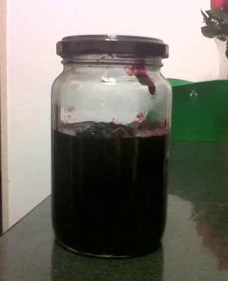 Mermelada de arándano