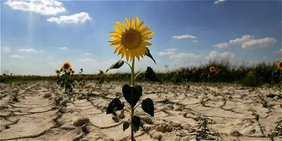 Efectos del calentamiento ya se sienten en todo el planeta.