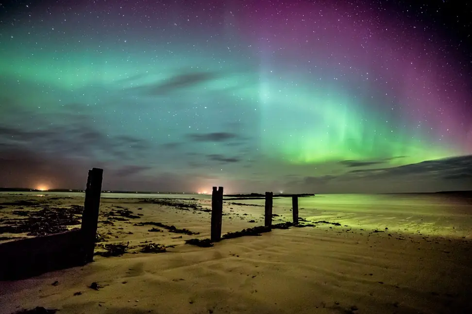 boreal