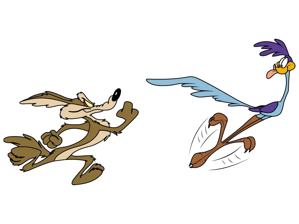 coyote