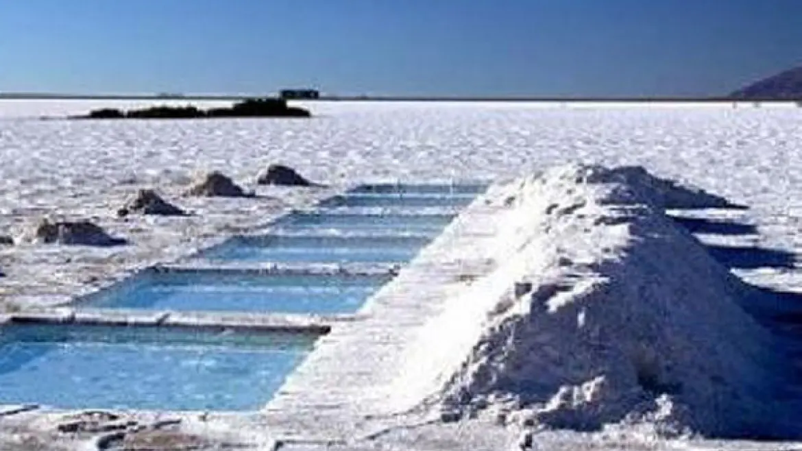 La Argentina producirá baterías de litio