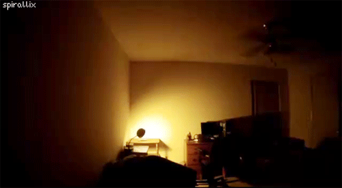 Gifs