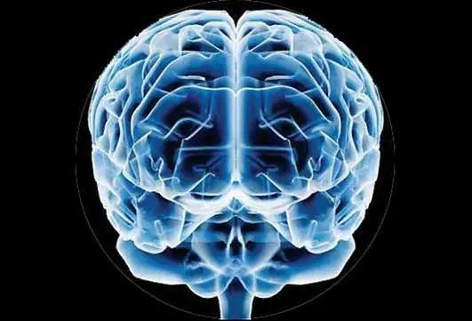 El Virus es un ser inteligente y te lo muestro