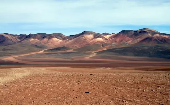 ecologia