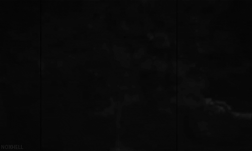 Otro post de gif de terror...