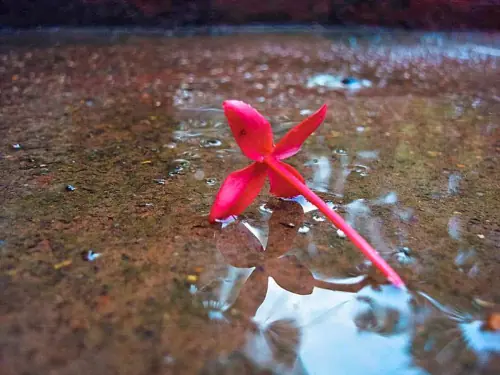 “No eres Tú, soy Yo”.