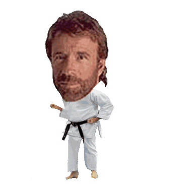 Chuck Norris ataca!