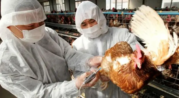 China alerta sobre la posibilidad de una verdadera pandemia