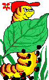 insectos