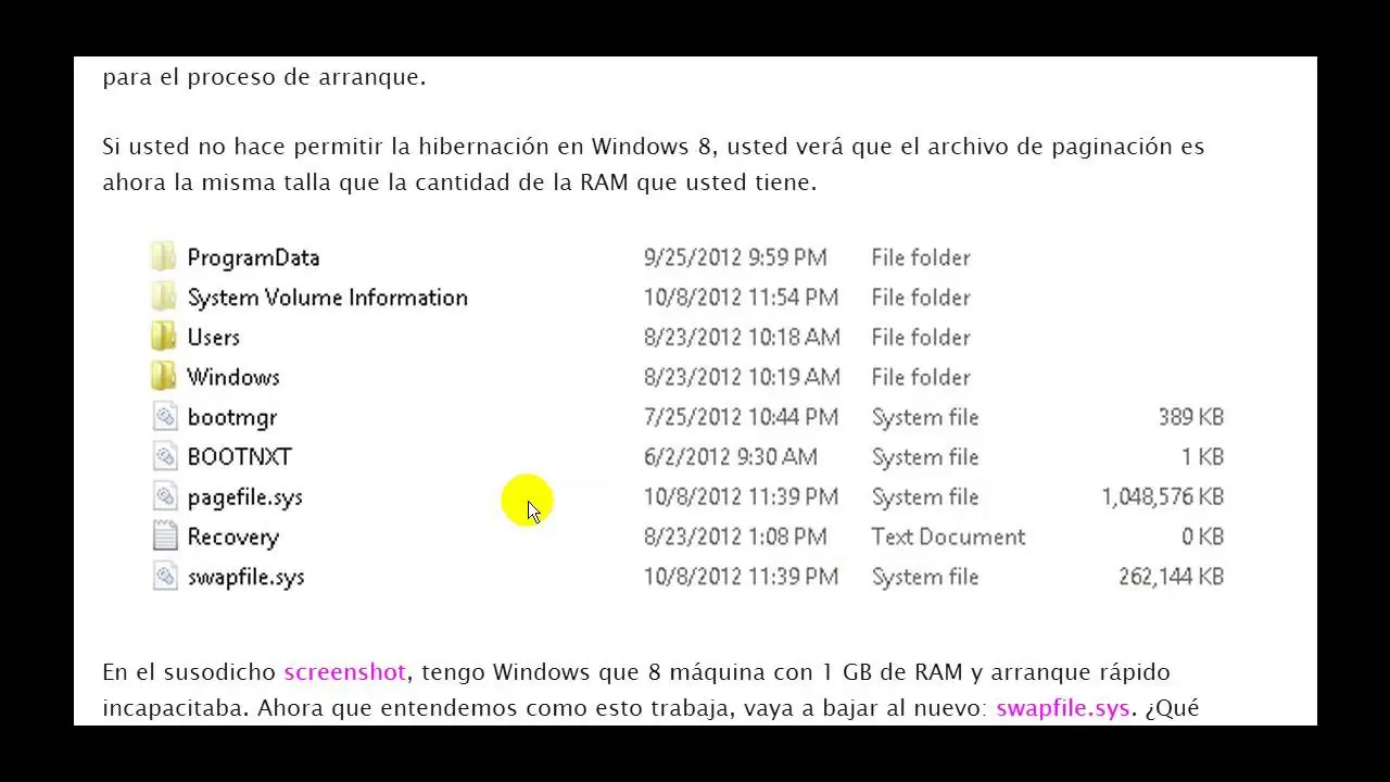 Porqué no debemos eliminar el archivo de paginación Pagefi