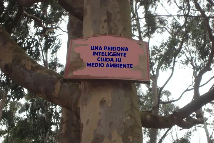 Mundo