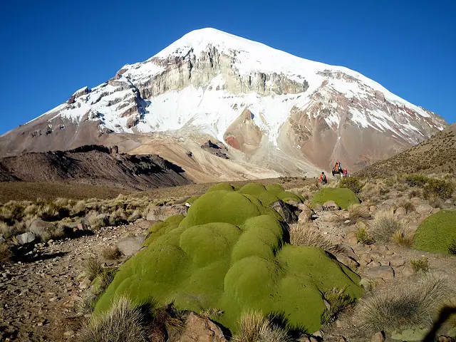 altura