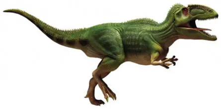 Megaraptor