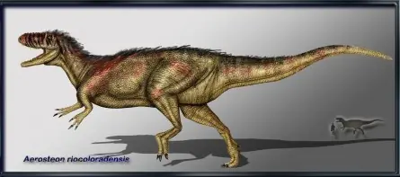 Megaraptor
