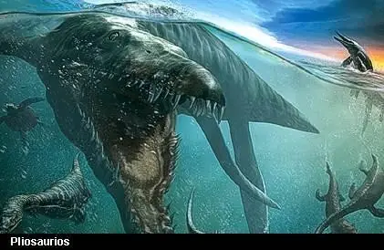 Megalodon