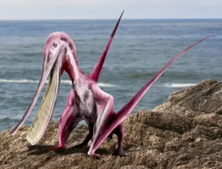 dinosaurios argentinos (megapost)