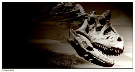 dinosaurios argentinos (megapost)