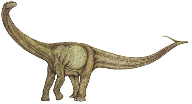 giganotosaurus