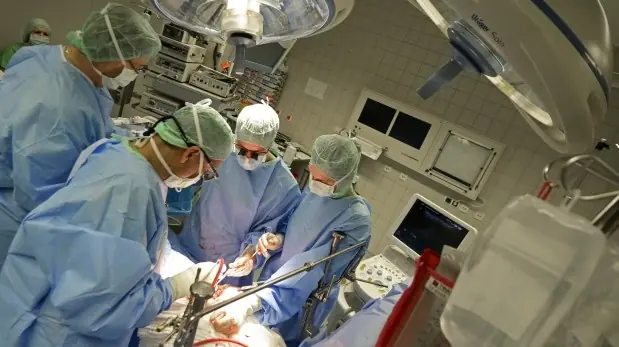 Fabrican en laboratorio fosas nasales y vaginas