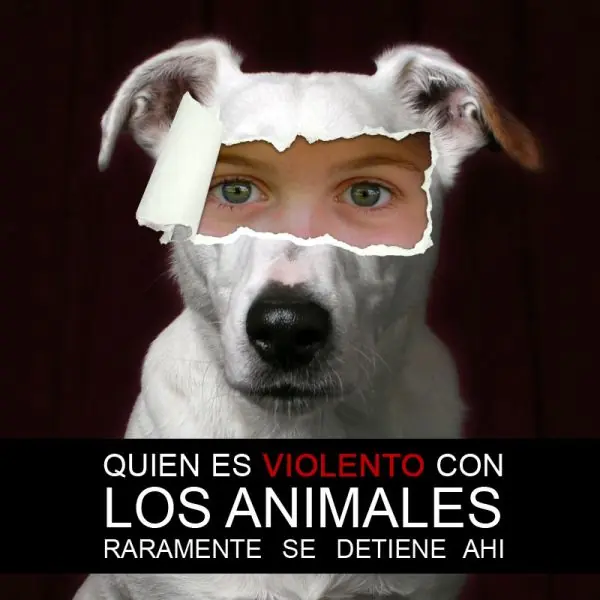 El porque defender a los animales